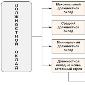 Model de remunerare: note Un exemplu de notă pentru unul dintre managerii de proiect ai companiei