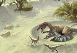 นักบรรพชีวินวิทยาพบฟอสซิลไข่ไดโนเสาร์ครั้งแรกในขนาดไข่ไดโนเสาร์ไซบีเรีย