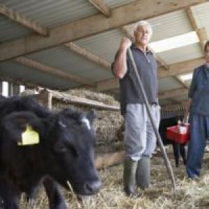 Državna potpora poljoprivrednicima: što se već radi i što će se promijeniti Jednokratna pomoć poljoprivrednicima početnicima godišnje