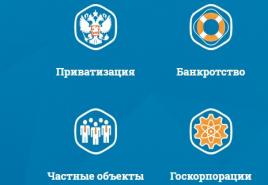 Elektroniczna platforma handlowa „Internetowa platforma handlowa Rosyjskiego Domu Aukcyjnego”