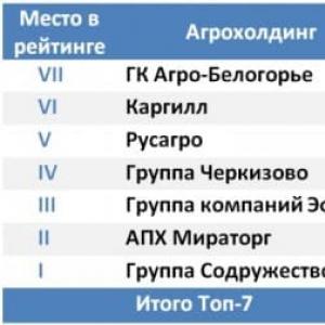 Русия се превръща в страна на гигантски земеделски стопанства Перспективи за развитие на индустрията