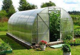 Paano magsimula ng isang negosyo sa greenhouse?
