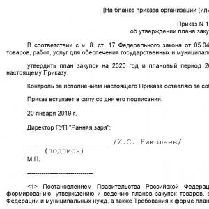 Planificarea achizițiilor în cadrul sistemului de contract: procedura de implementare