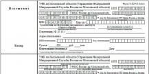Какие документы нужно собрать для получения российского паспорта