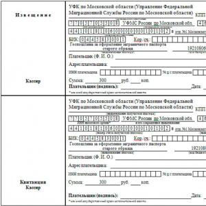 Koje dokumente trebate prikupiti da biste dobili rusku putovnicu